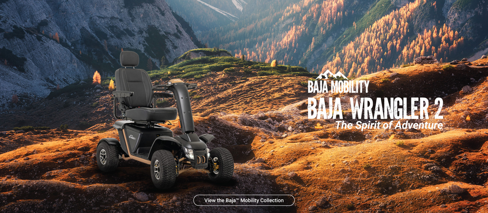 Baja Wrangler 2