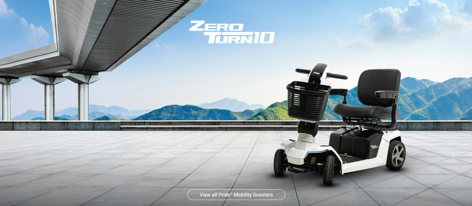 Zero Turn 10