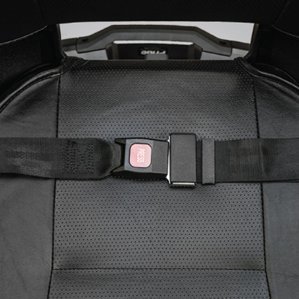 image of lap belt